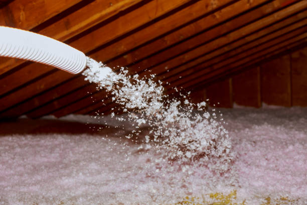 Best DIY Insulation Kits and Guidance in Cave City, AR